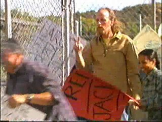 Gentlemen Prefer Blondes, Desperate Housewives, Arrested Development