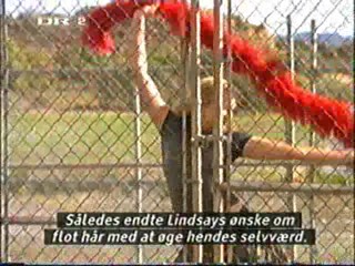 Gentlemen Prefer Blondes, Desperate Housewives, Arrested Development