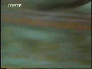 The Pursuit of D.B. Cooper