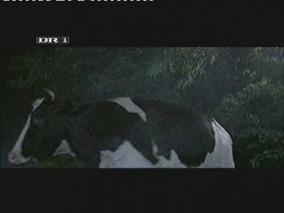 For Richer or Poorer