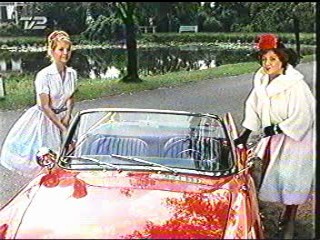 Soldaterkammerater pÃ¥ efterÃ¥rsmanÃ¸vre