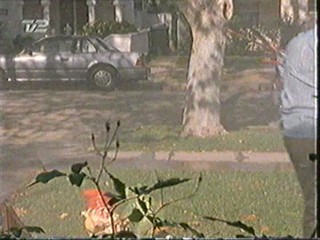 Malcolm in the Middle, Lois & Clark