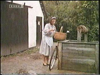 Kampen om den rÃ¸de ko