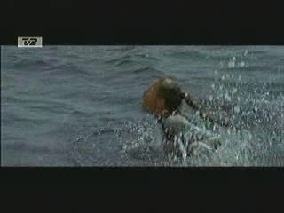 Tomb Raider - The Cradle of Life