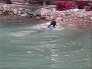 Pop Convert - Carola HÃ¤ggkvist