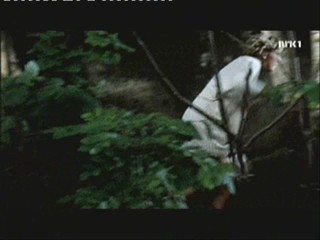 Hodet over Vannet #1