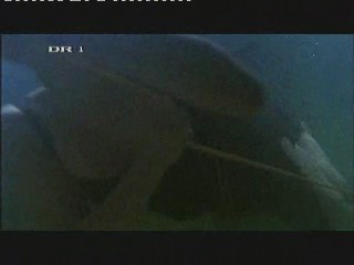 The Poseidon Adventure (2005)