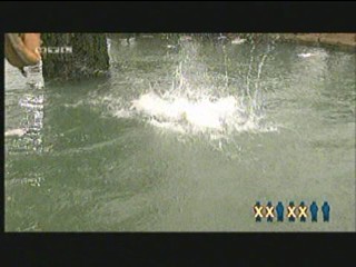 Entern oder Kentern 13-07-2007 #2/4