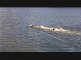 Donovan's Reef (1963)