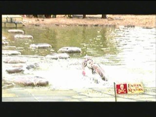 Entern oder Kentern 2007-08-31 #3/5