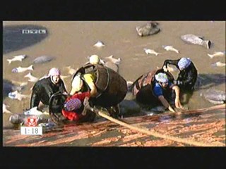 Entern oder Kentern 2007-08-31 #5/5