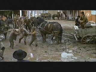 Support Your Local Sheriff