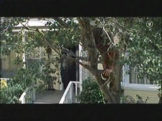 Support Your Local Sheriff