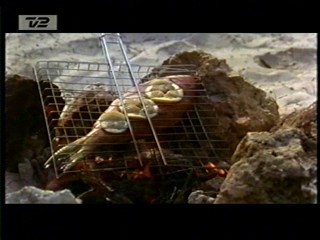 Up Close and Personal