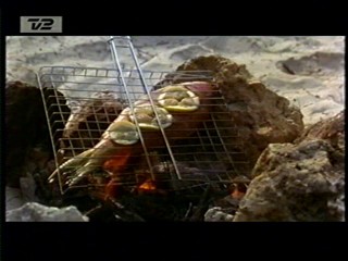 Up Close and Personal