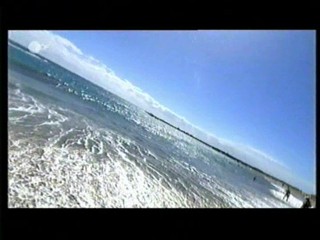 Die FrÃ¼hlingsshow