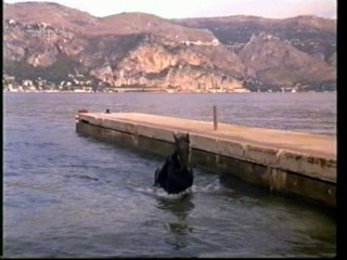 Grand Larceny (1987)