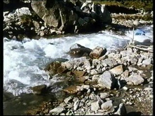 KaiserjÃ¤ger (1956)