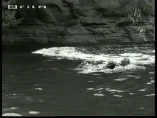 Angel and the badman (1947)