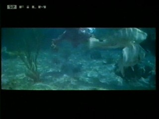 Beneath 12 Mile Reef (1953)