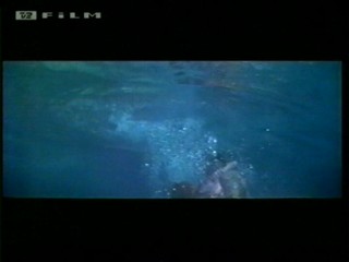 Beneath 12 Mile Reef (1953)
