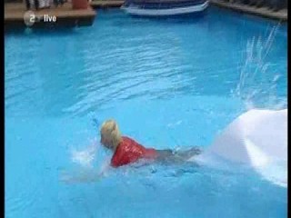 Fernseh garten (analog quality upgrade)