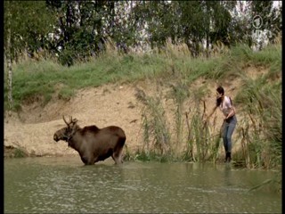 Tierarztin Dr Mertens 4.07