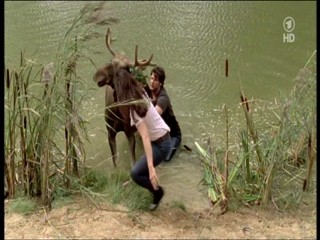 Tierarztin Dr Mertens 4.07