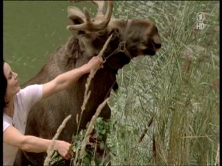 Tierarztin Dr Mertens 4.07