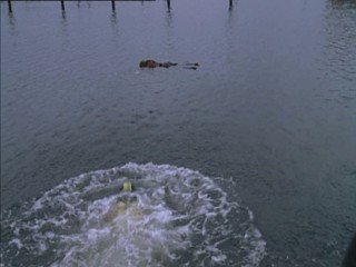 Wallander Fotografen