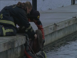 Wallander Fotografen
