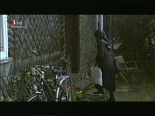 Lupo und der muezzin