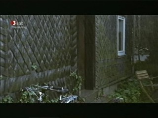 Lupo und der muezzin