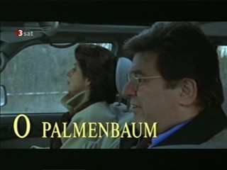 Palmenbaum