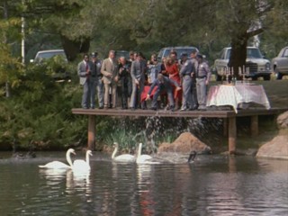 Remington Steele -  Dreams of Steele 1