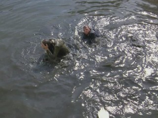 Remington Steele -  Dreams of Steele 1