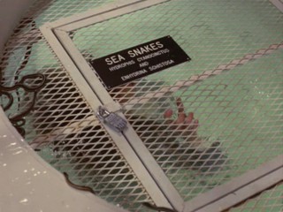 Remington Steele - Dreams of Steele 2