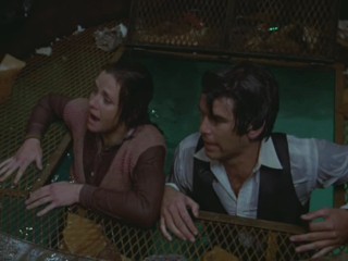 Remington Steele - Elegy in Steele