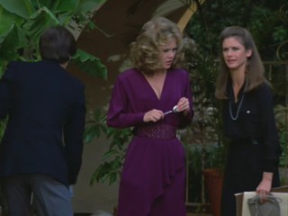 Remington Steele -  My Fair Steele