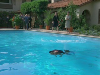 Remington Steele -  My Fair Steele