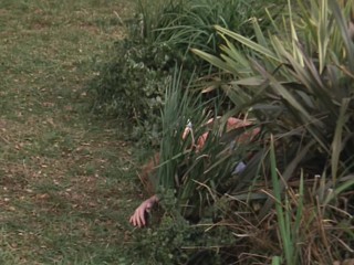 Remington Steele - Small Town Steele