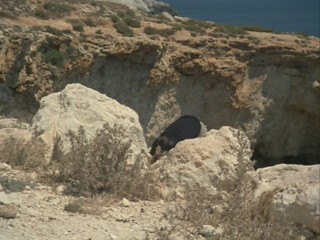 Remington Steele-  Maltese Steel