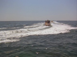 Remington Steele -  Steel At It