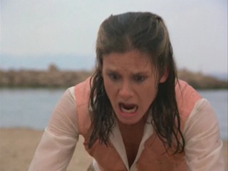 Remington Steele -  Steel At It