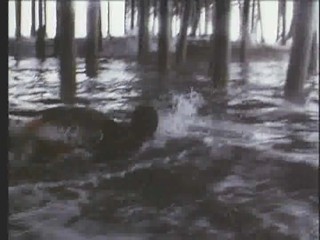 Baywatch : Panic at Malibu Pier