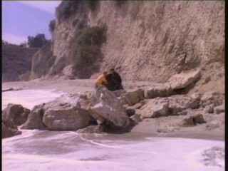 Baywatch : The Reunion