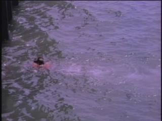 Baywatch : The Trophy