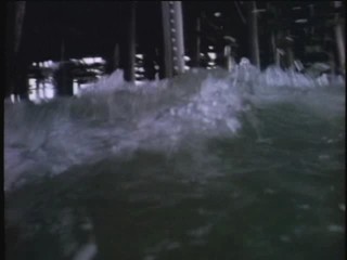 Baywatch : The Trophy