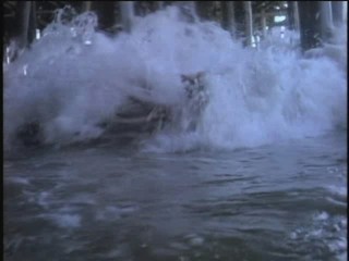 Baywatch : The Trophy