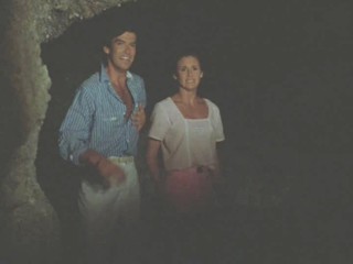 Remington Steele Puzzled Steele